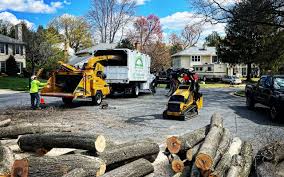  Lanse, MI Tree Removal Services Pros